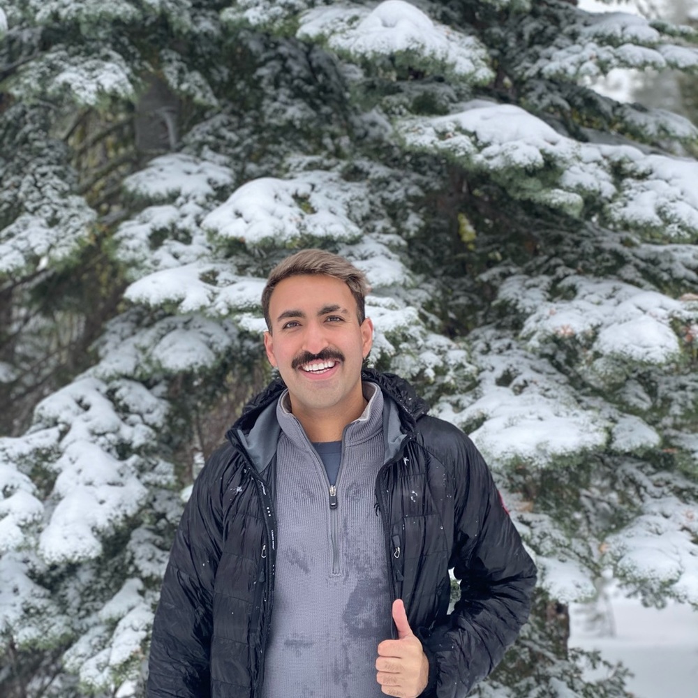 Meet your Posher, Harry